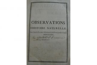 Observations-2_X_detail
